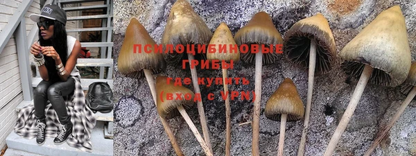 ГАЛЛЮЦИНОГЕННЫЕ ГРИБЫ Нефтекумск
